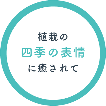 植栽の四季の表情に癒されて