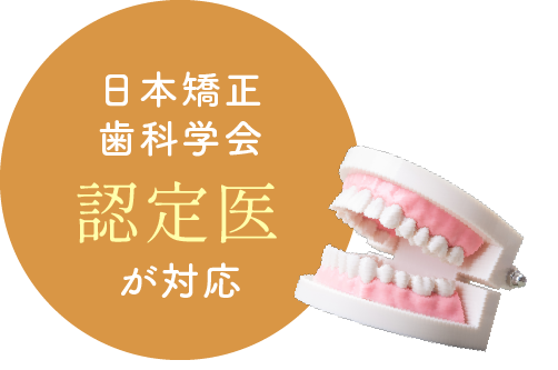 日本矯正歯科学会認定医が対応